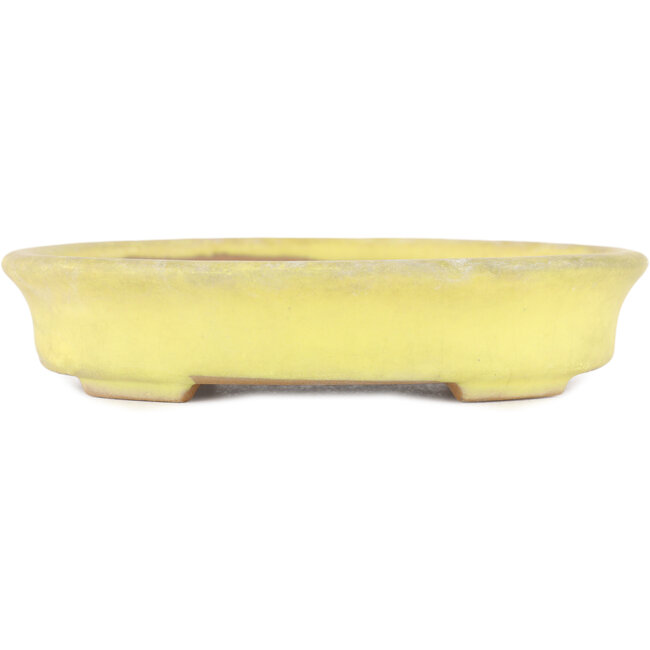 Oval yellow bonsai pot by Yamafusa - 140 x 115 x 30 mm