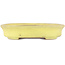 Oval yellow bonsai pot by Yamafusa - 140 x 115 x 30 mm