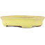 Oval yellow bonsai pot by Yamafusa - 140 x 115 x 30 mm