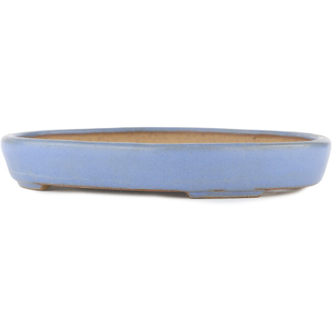 Pot à bonsaï ovale bleu par Yamafusa - 160 x 130 x 24 mm
