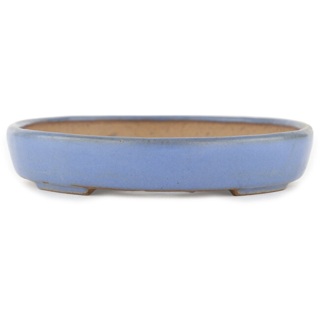 Ovaler blauer Bonsai-Topf von Yamafusa - 160 x 130 x 24 mm