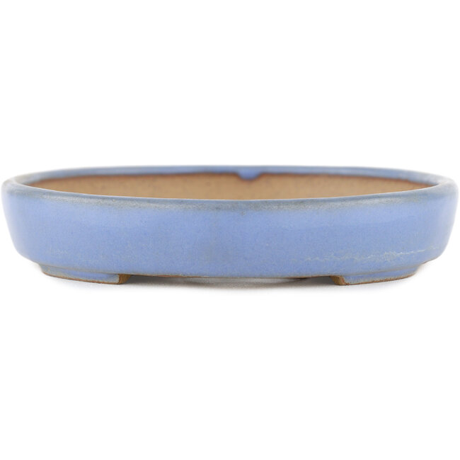 Vaso bonsai ovale blu di Yamafusa - 160 x 130 x 24 mm