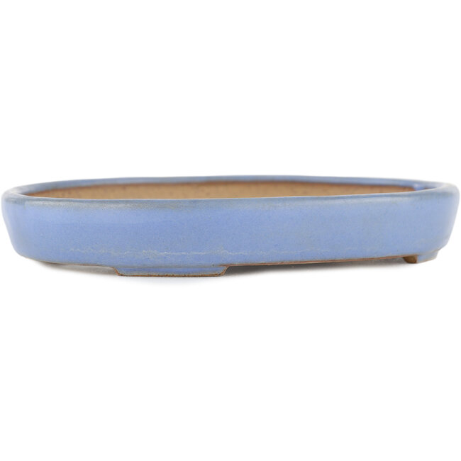 Pot à bonsaï ovale bleu par Yamafusa - 160 x 130 x 24 mm