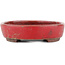 Oval red bonsai pot by Tosui - 125 x 100 x 30 mm