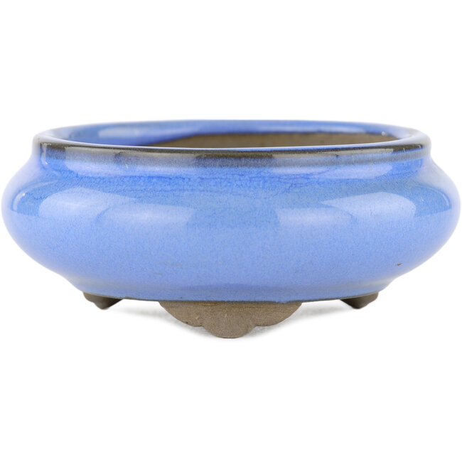 Round blue bonsai pot by Tosui - 105 x 105 x 40 mm