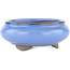 Round blue bonsai pot by Tosui - 105 x 105 x 40 mm