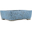 Rectangular blue bonsai pot by Tosui - 110 x 88 x 35 mm