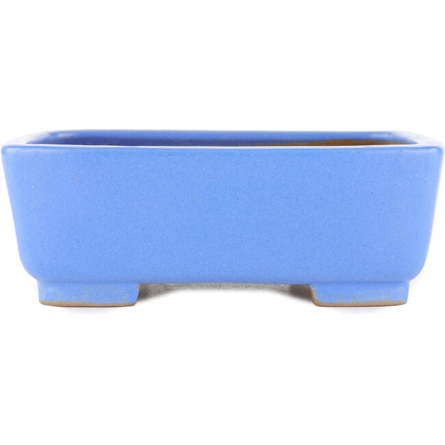 Rectangular blue bonsai pot by Shibakatsu - 185 x 146 x 65 mm