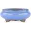 Round blue bonsai pot by Tosui - 105 x 105 x 40 mm