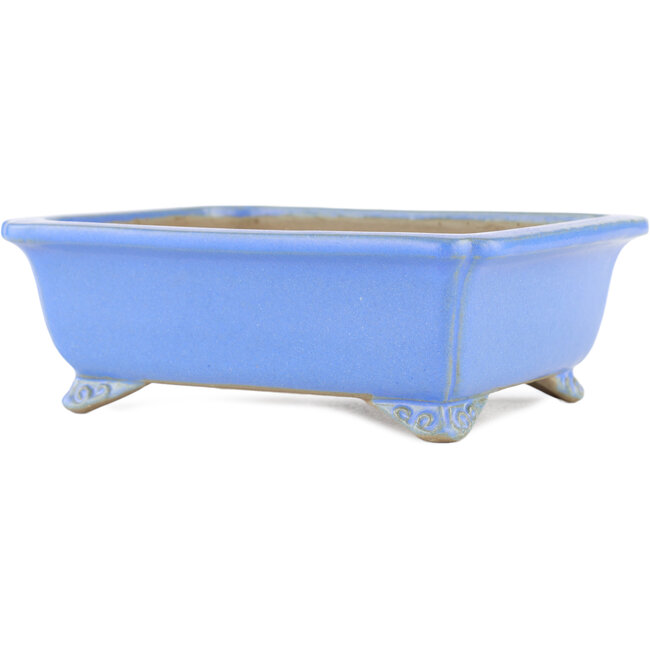Maceta rectangular para bonsái azul de Shibakatsu - 185 x 150 x 60 mm