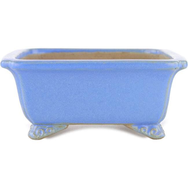 Maceta rectangular para bonsái azul de Shibakatsu - 185 x 150 x 60 mm