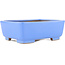 Rectangular blue bonsai pot by Shibakatsu - 185 x 146 x 65 mm