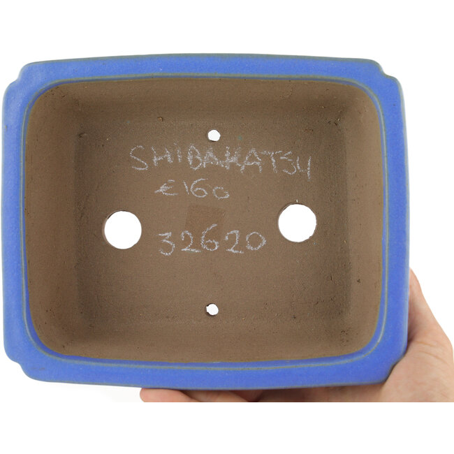 Rectangular blue bonsai pot by Shibakatsu - 185 x 150 x 60 mm