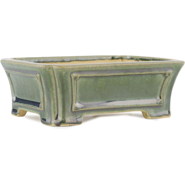 Maceta rectangular para bonsái verde de Shibakatsu - 180 x 150 x 60 mm