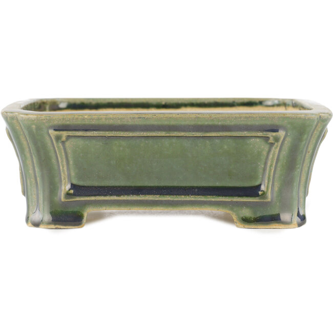 Maceta rectangular para bonsái verde de Shibakatsu - 180 x 150 x 60 mm