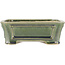 Pot à bonsaï vert rectangulaire par Shibakatsu - 180 x 150 x 60 mm