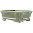 Pot à bonsaï vert rectangulaire par Shibakatsu - 180 x 150 x 60 mm