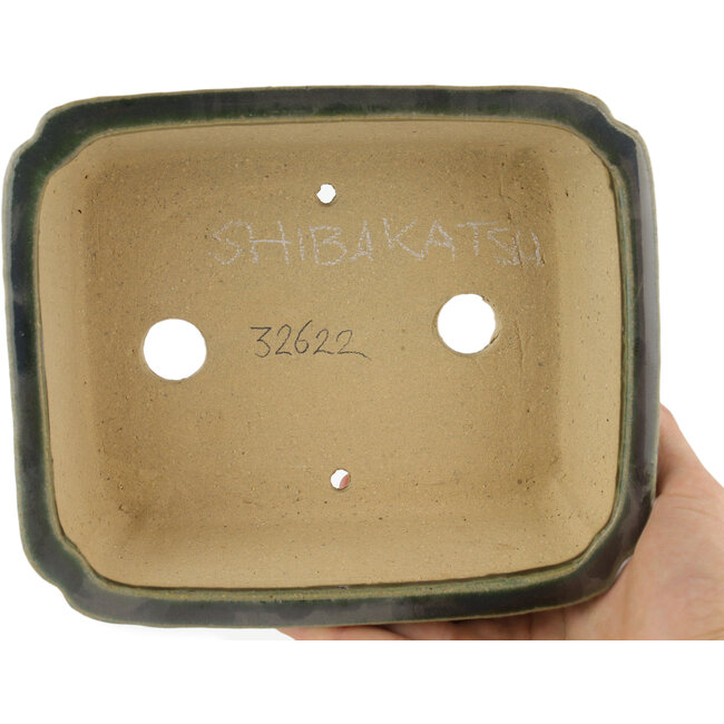 Vaso bonsai rettangolare verde di Shibakatsu - 180 x 150 x 60 mm