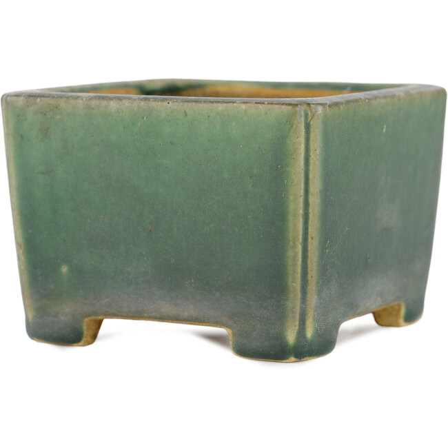 Vierkante groene bonsaipot van Shibakatsu - 95 x 95 x 65 mm