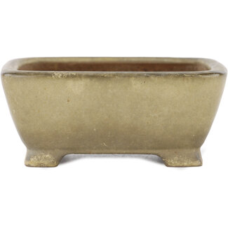 Shibakatsu (Katsuichi Shibata) 105 mm  beige bonsai pot by Shibakatsu, Tokoname, Japan