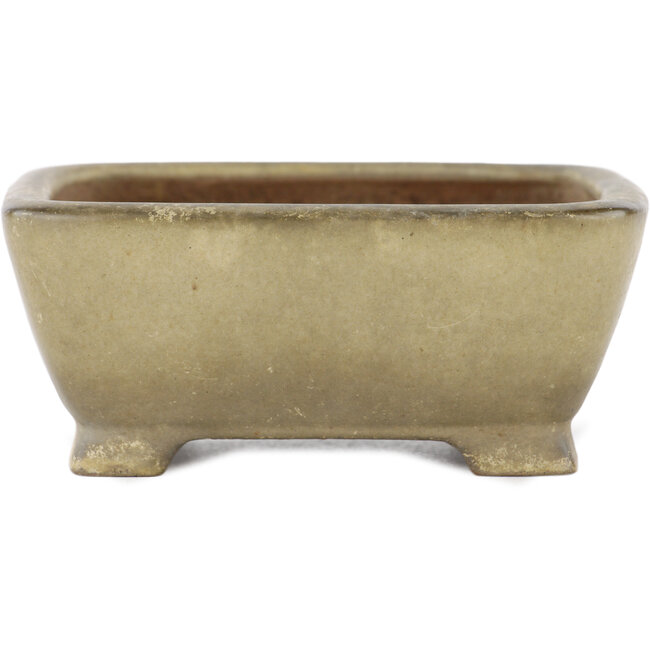 Pot à bonsaï rectangulaire beige par Shibakatsu - 105 x 85 x 45 mm