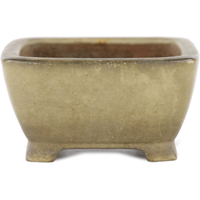 Maceta rectangular para bonsái beige de Shibakatsu - 105 x 85 x 45 mm