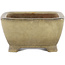 Rectangular beige bonsai pot by Shibakatsu - 105 x 85 x 45 mm