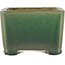 Square green bonsai pot by Shibakatsu - 95 x 95 x 65 mm