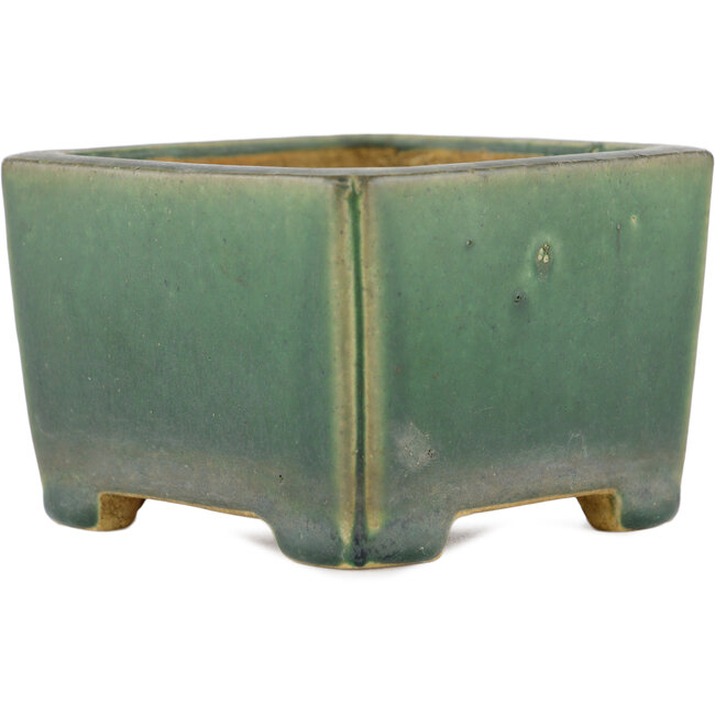 Vaso bonsai quadrato verde di Shibakatsu - 95 x 95 x 65 mm