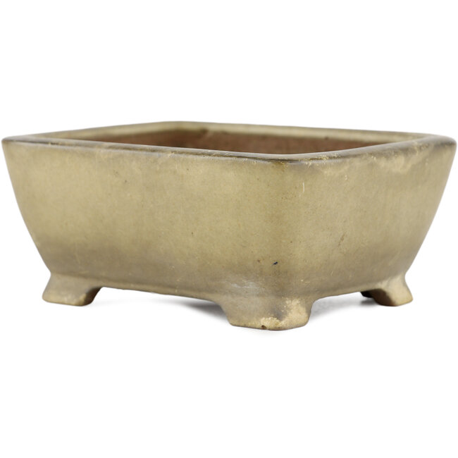 Rechteckiger beiger Bonsai-Topf von Shibakatsu - 105 x 85 x 45 mm