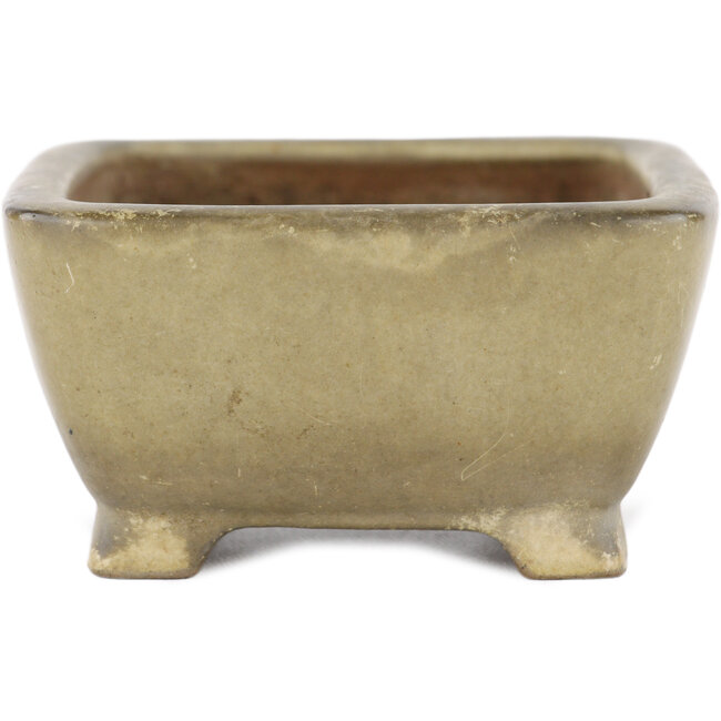 Pot à bonsaï rectangulaire beige par Shibakatsu - 105 x 85 x 45 mm
