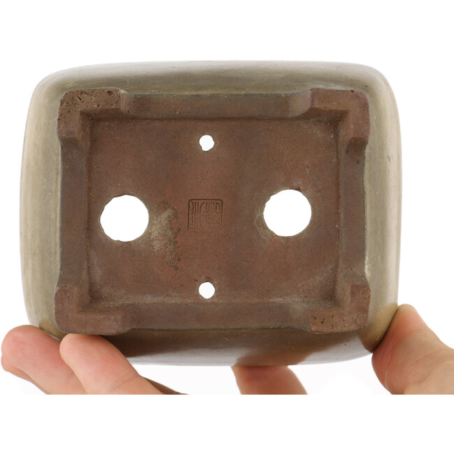 Pot à bonsaï rectangulaire beige par Shibakatsu - 105 x 85 x 45 mm