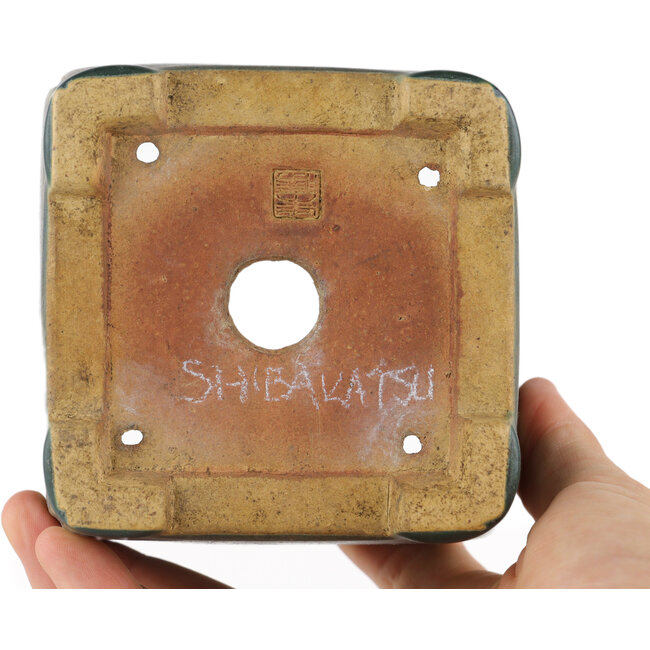 Square green bonsai pot by Shibakatsu - 95 x 95 x 65 mm