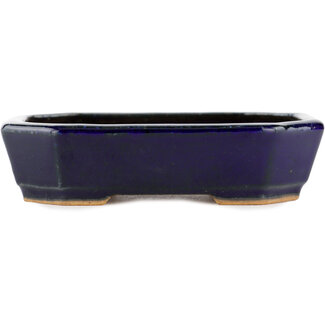 Hattori Tomoyuki 130 mm  blue bonsai pot by Hattori, Tokoname, Japan