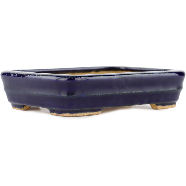 Pot à bonsaï rectangulaire bleu par Hattori - 135 x 100 x 30 mm