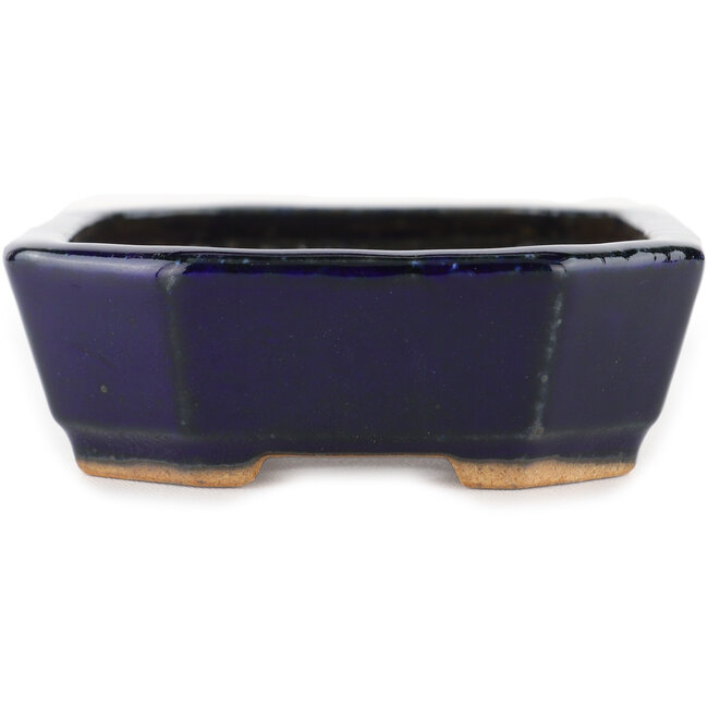 Pot à bonsaï rectangulaire bleu par Hattori - 130 x 95 x 30 mm