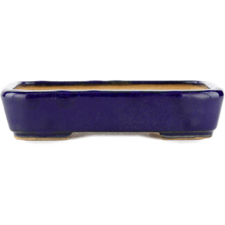 Hattori Tomoyuki 130 mm  blue bonsai pot by Hattori, Tokoname, Japan