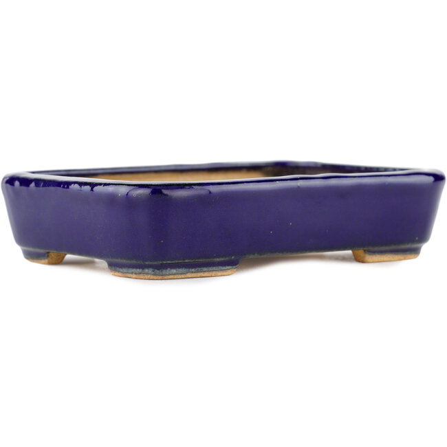 Rechteckiger blauer Bonsai-Topf von Hattori - 130 x 95 x 30 mm