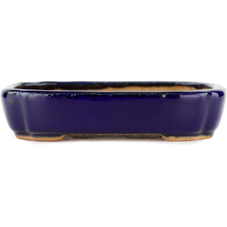  Hattori Tomoyuki Blauwe bonsaipot van 122 mm van Hattori, Tokoname, Japan