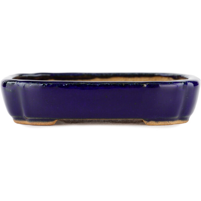 Rectangular blue bonsai pot by Hattori - 122 x 90 x 26 mm