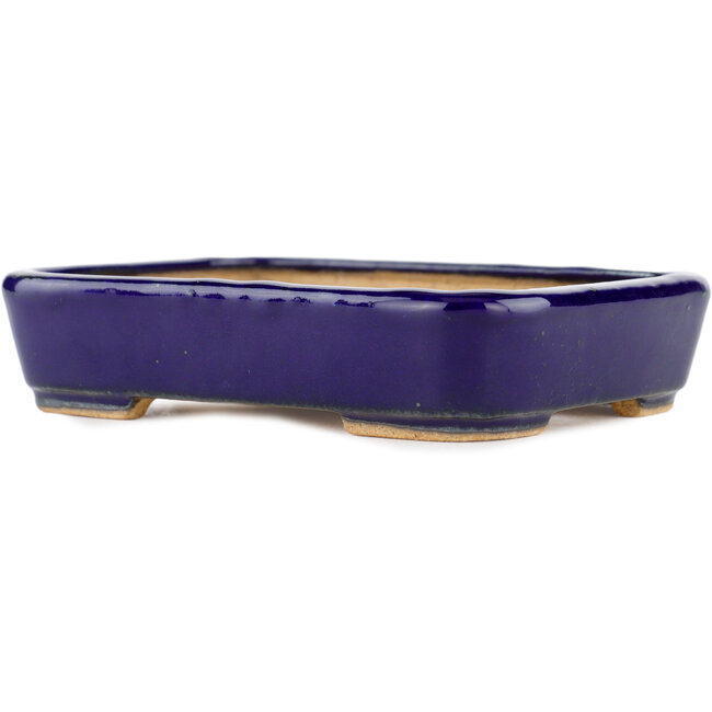 Rectangular blue bonsai pot by Hattori - 130 x 95 x 30 mm