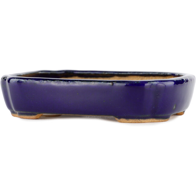 Vaso bonsai rettangolare blu di Hattori - 122 x 90 x 26 mm