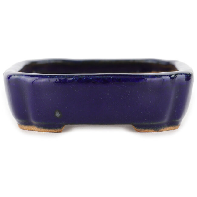 Vaso bonsai rettangolare blu di Hattori - 122 x 90 x 26 mm