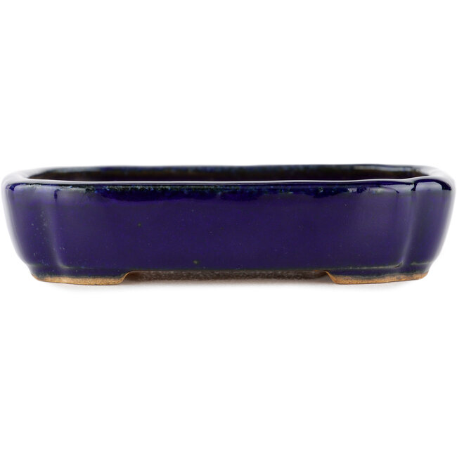 Rectangular blue bonsai pot by Hattori - 122 x 90 x 26 mm