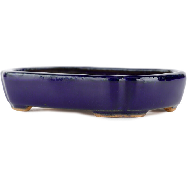 Rectangular blue bonsai pot by Hattori - 122 x 90 x 26 mm