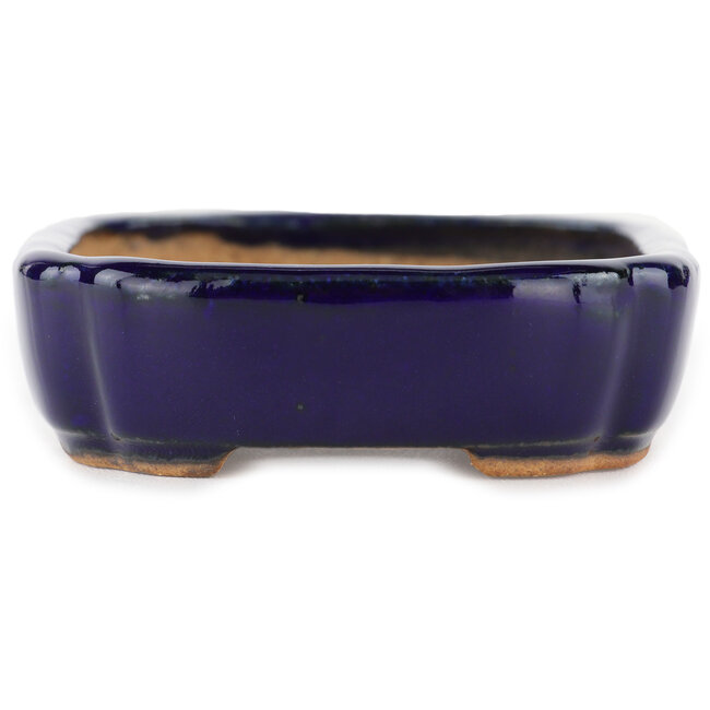 Rectangular blue bonsai pot by Hattori - 122 x 90 x 26 mm