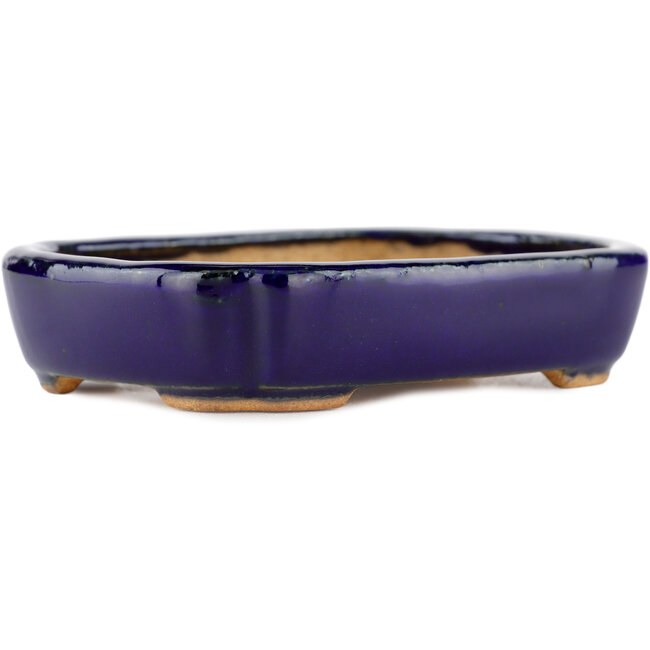 Maceta rectangular para bonsái azul de Hattori - 122 x 90 x 26 mm