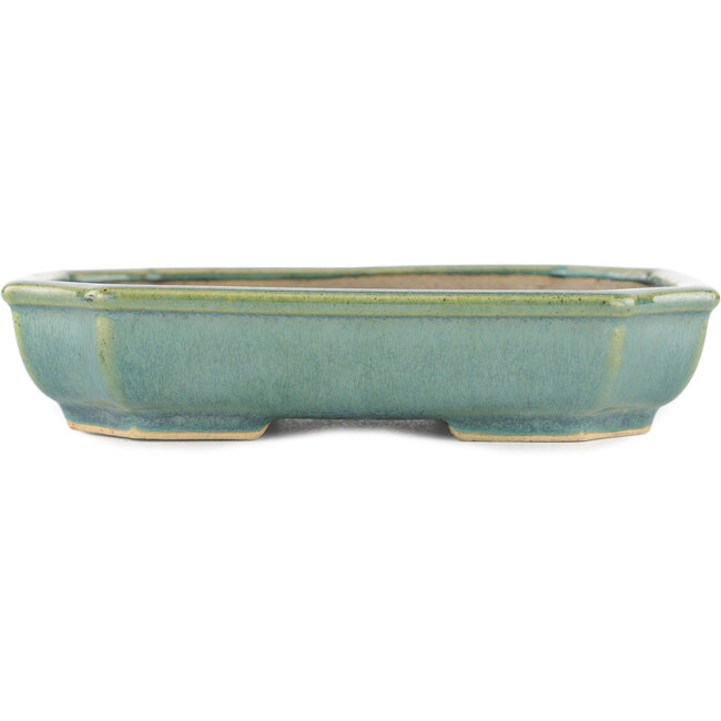 Vaso bonsai rettangolare verde di Kohshunosai - 165 x 125 x 35 mm