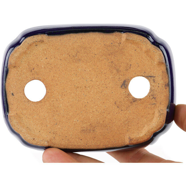 Pot à bonsaï rectangulaire bleu par Hattori - 122 x 90 x 26 mm
