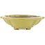 Vaso bonsai Mokko giallo di Kohshunosai - 175 x 145 x 40 mm
